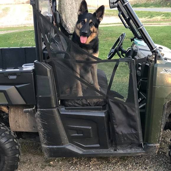 Meet your Posher, Mark - Picture 1 of 1